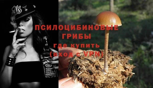 гидра Анжеро-Судженск