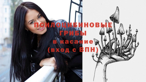 каннабис Новозыбков